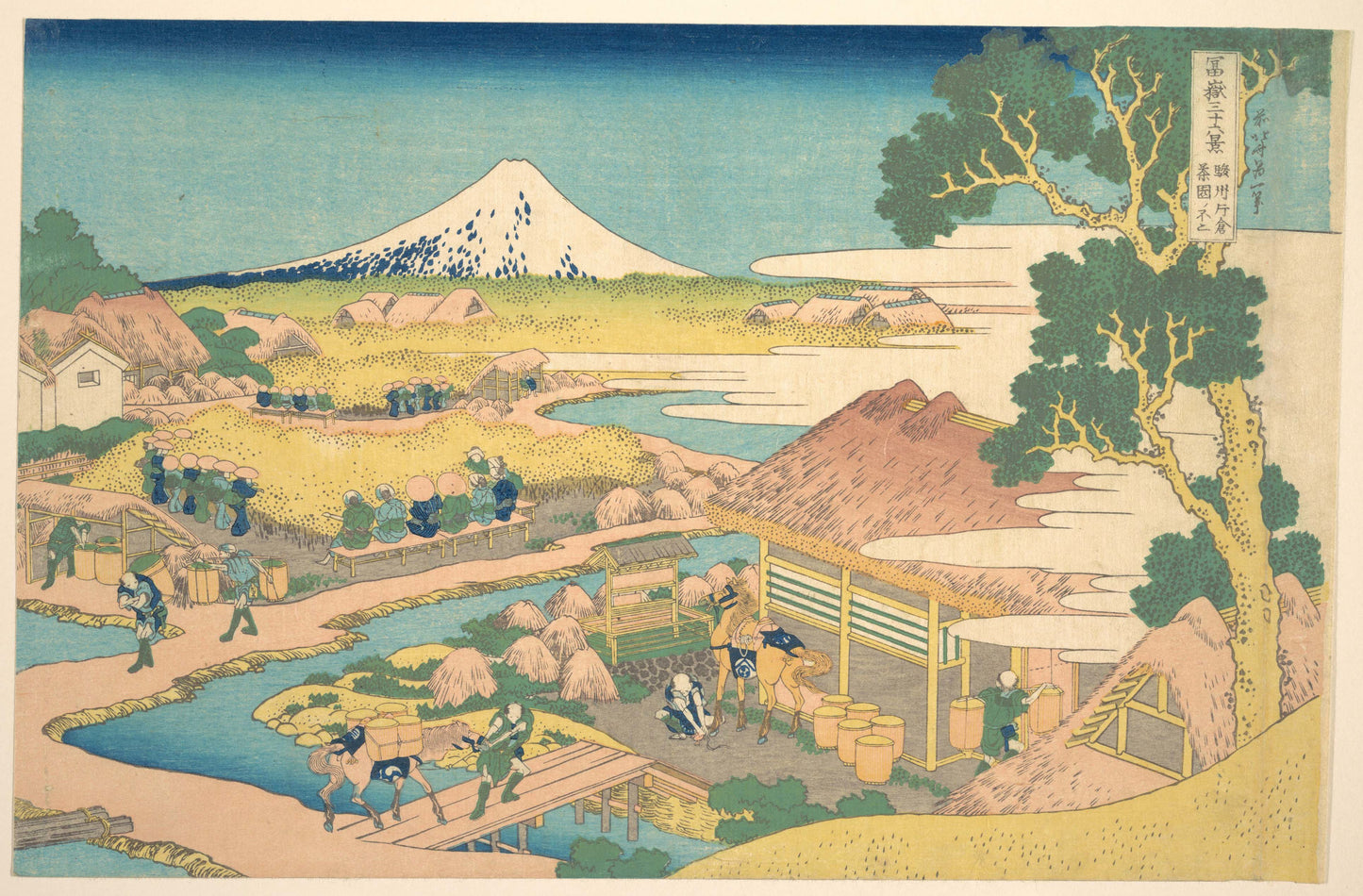 Fuji from the Katakura Tea Fields in Suruga (Sunshū Katakura chaen no Fuji)