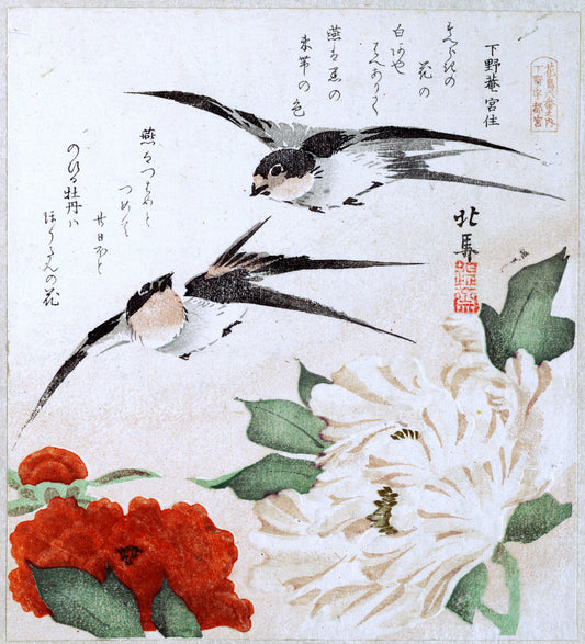 Swallows and Peonies